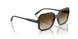 238613 - Brown - Brown Gradient