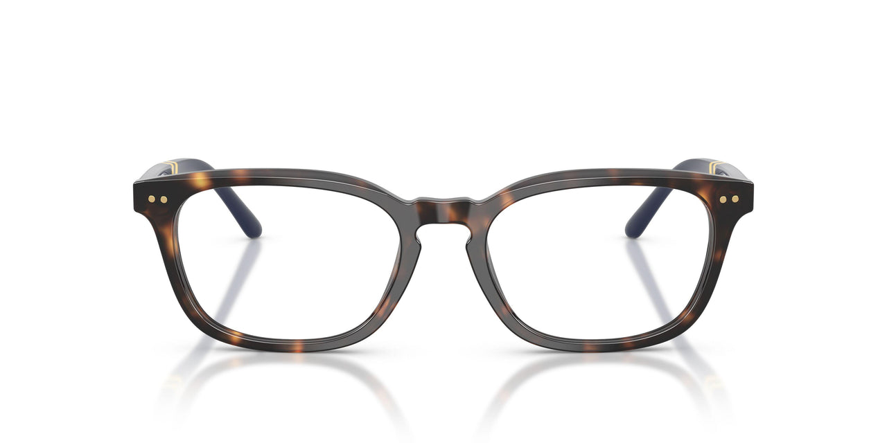 5003 - Tortoise
