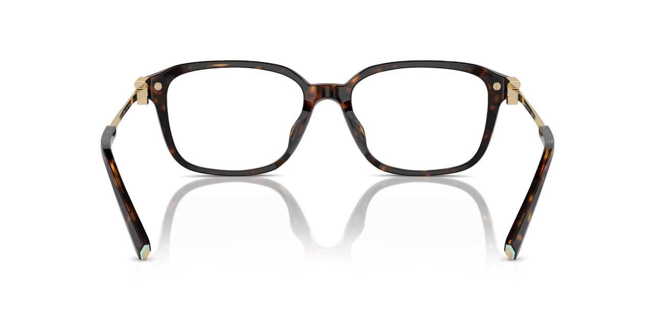 8015 - Tortoise