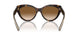 801551 - Tortoise - Clear Gradient Brown