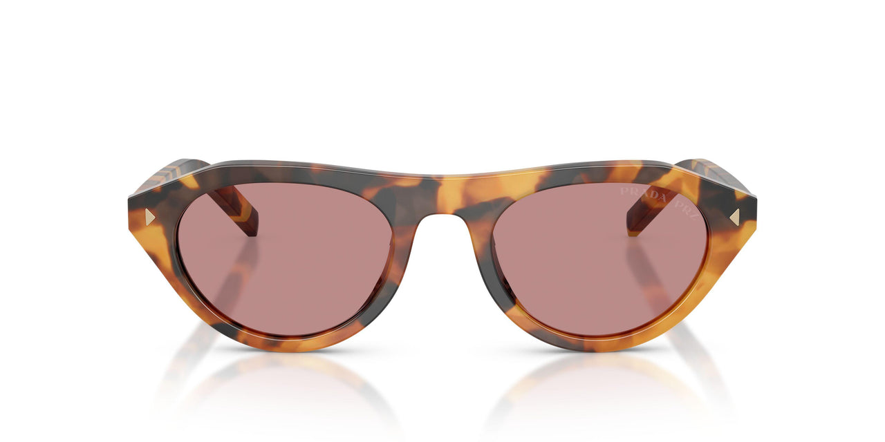 29C05Z - Tortoise - Dark Pink Polar