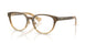 4201 - Brown