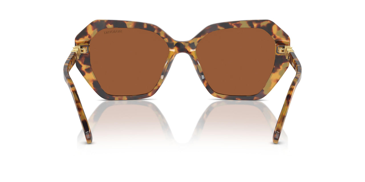 100473 - Tortoise - Dark Brown