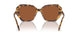 100473 - Tortoise - Dark Brown