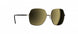 7580 - Gold / Black - SLM Gold Mirror Grad