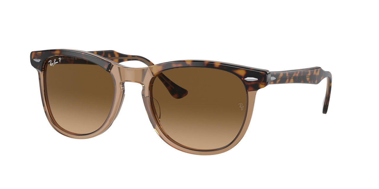 Ray-Ban Eagleeye 2398F Sunglasses