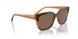 313473 - Tortoise - Dark Brown