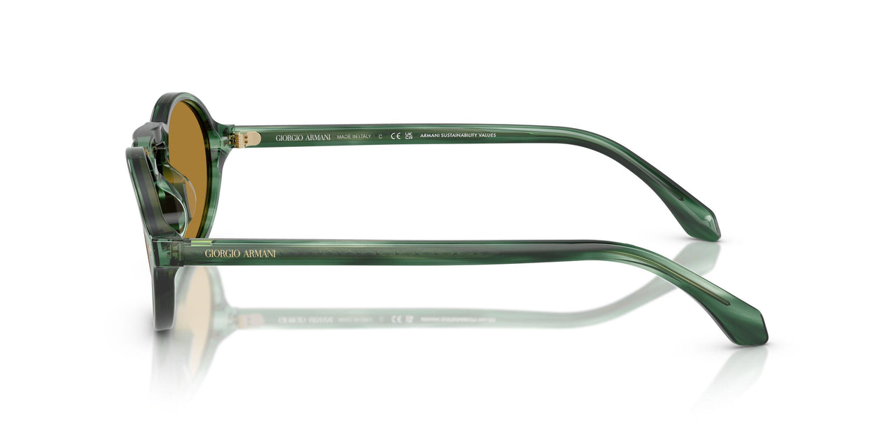 616453 - Green - Brown