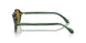 616453 - Green - Brown