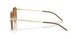 301373 - Gold - Brown