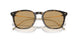 620773 - Tortoise - Brown