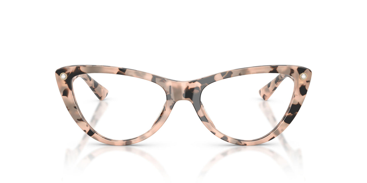 5080 - Tortoise