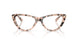 5080 - Tortoise