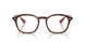 8488 - Tortoise - Clear