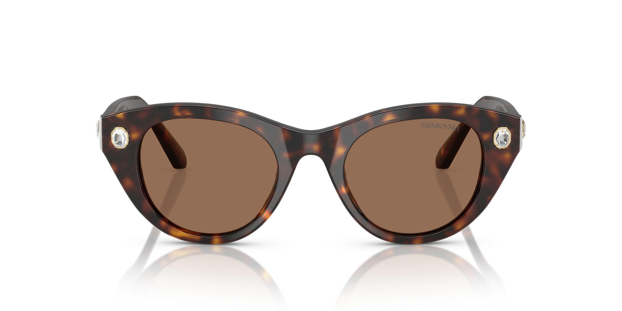 100273 - Tortoise - Dark Brown