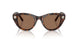 100273 - Tortoise - Dark Brown