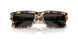 105648 - Tortoise - Polar Black