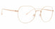 Trina Turk TTAMRIT Eyeglasses