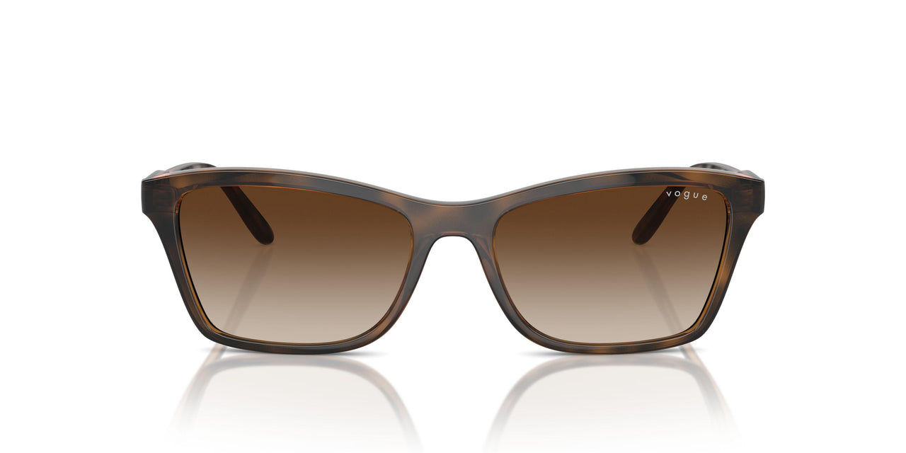 238613 - Brown - Brown Gradient