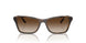 238613 - Brown - Brown Gradient