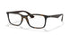 5573 - Tortoise - Clear