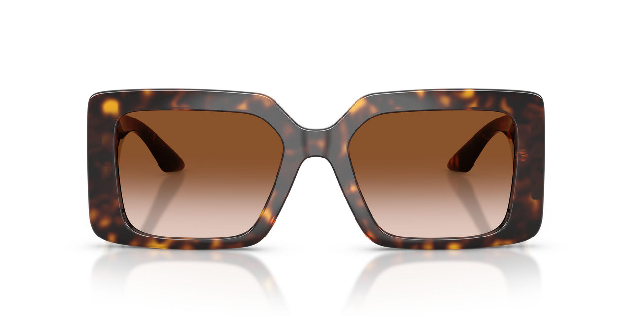 108/13 - Tortoise - Brown Gradient