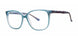 Modern Plastics I HADLEY Eyeglasses