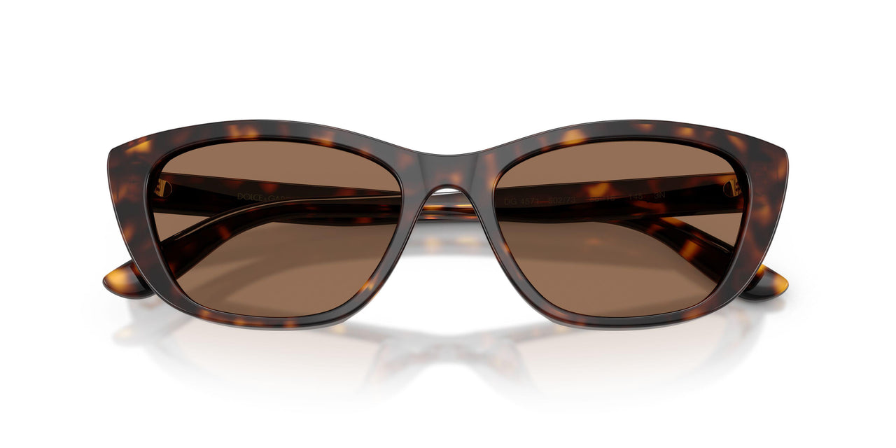 502/73 - Tortoise - Dark Brown