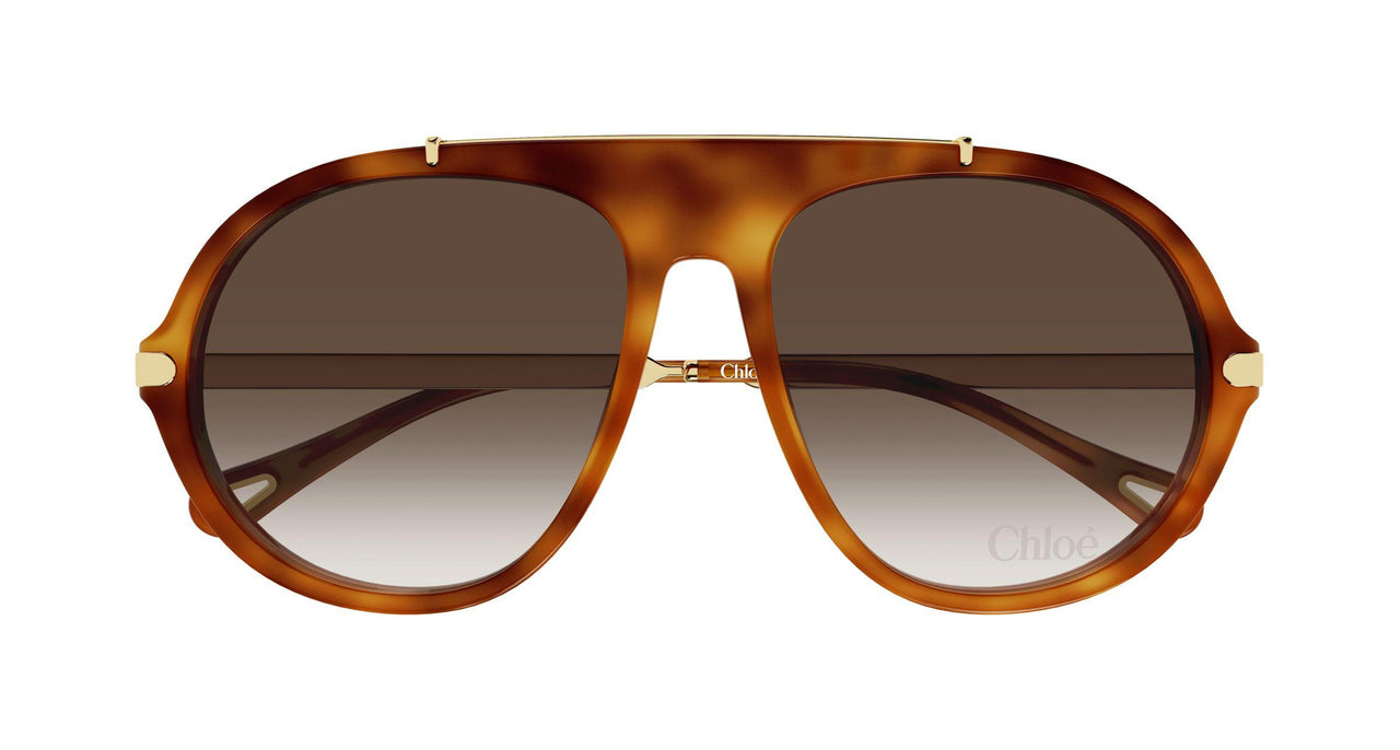 002 - Havana/Gold - Brown