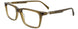 60 - Transparent Khaki Brushed