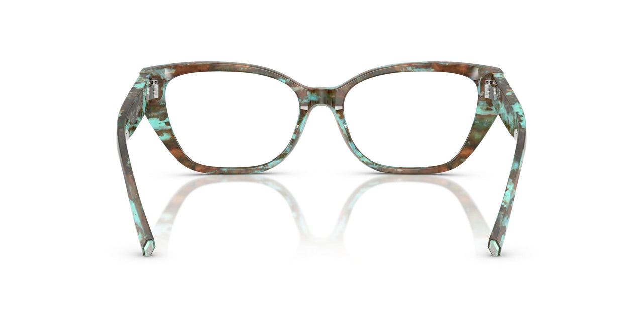 8422 - Tortoise