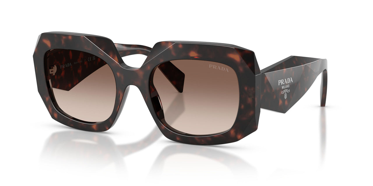 17N10S - Tortoise - Brown Gradient