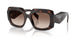 17N10S - Tortoise - Brown Gradient
