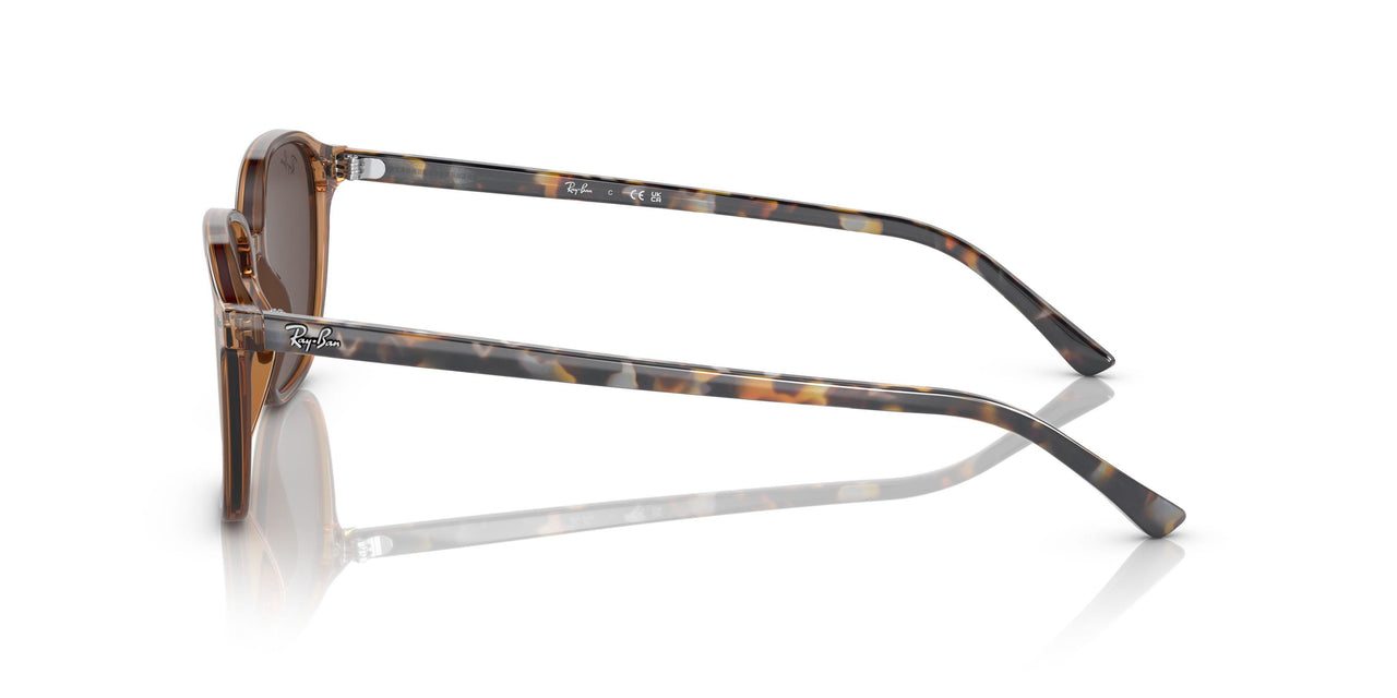 663693 - Brown - Light Brown Mirror Gold