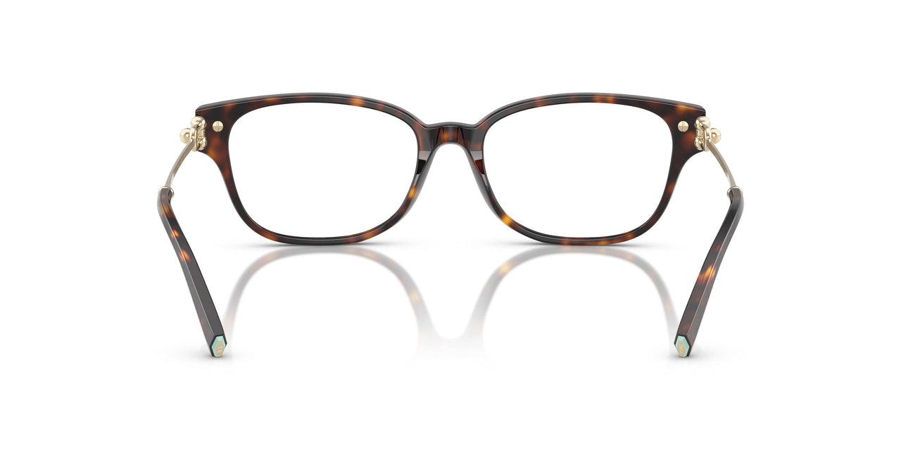 8015 - Tortoise