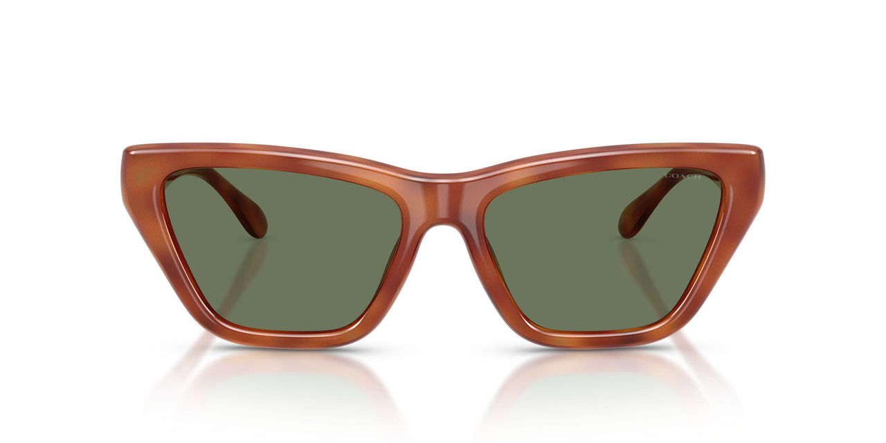 577482 - Tortoise - Green Solid