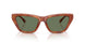577482 - Tortoise - Green Solid