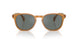 1578W5 - Brown - Regal Blue