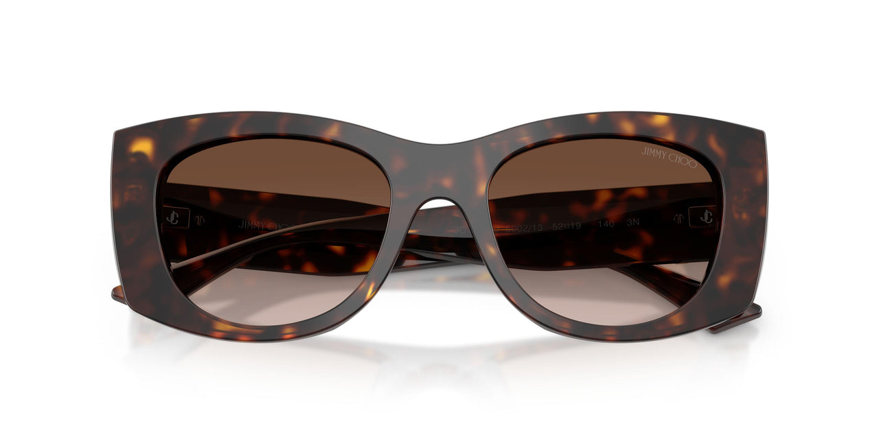 500213 - Tortoise - Brown Gradient