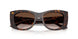 500213 - Tortoise - Brown Gradient
