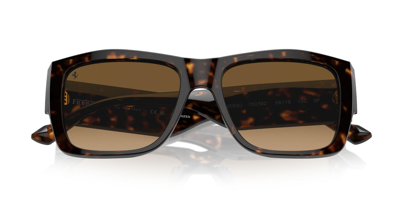 702/M2 - Tortoise - Polarized Brown Gradient
