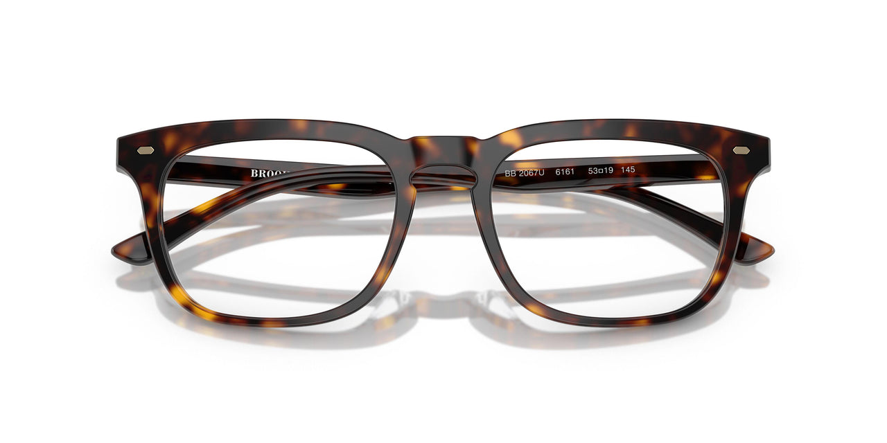 6161 - Tortoise