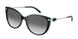 8055T3 - Black - Polar Grey Gradient