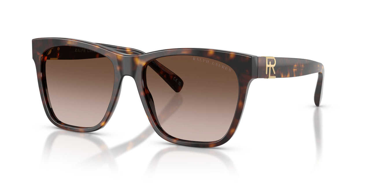 500313 - Tortoise - Gradient Brown