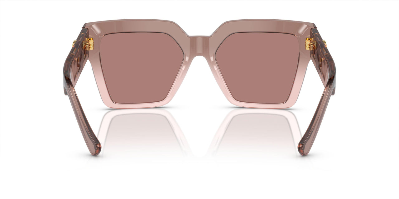 543573 - Brown - Light Brown