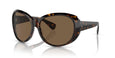 100973 - Tortoise - Brown