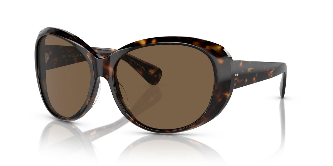 100973 - Tortoise - Brown
