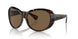 100973 - Tortoise - Brown