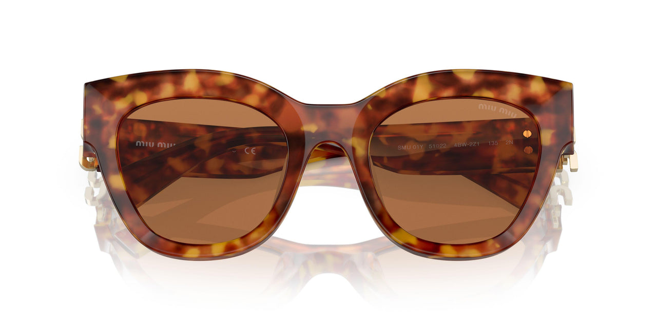 4BW2Z1 - Tortoise - Brown