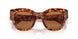 4BW2Z1 - Tortoise - Brown